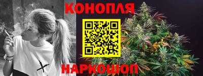 прущие крисы Партизанск